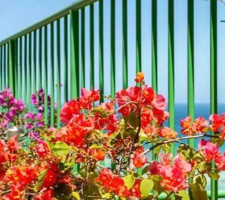 Manfiyo Guest House Anse Boileau Екстериор снимка