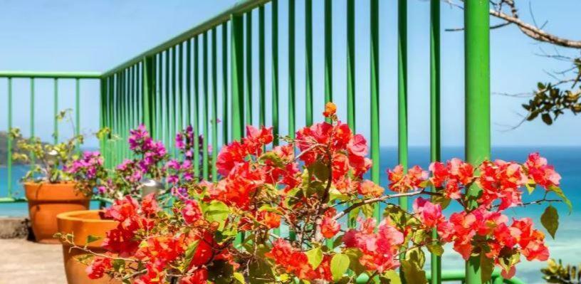 Manfiyo Guest House Anse Boileau Екстериор снимка