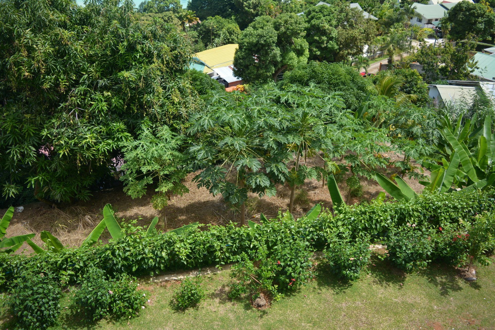 Manfiyo Guest House Anse Boileau Екстериор снимка